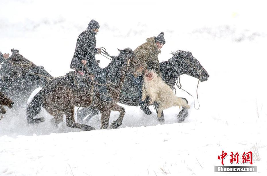 崇礼冰雪风光 绽放冬日激情