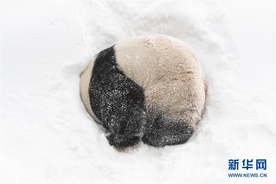 崇礼冰雪风光 绽放冬日激情