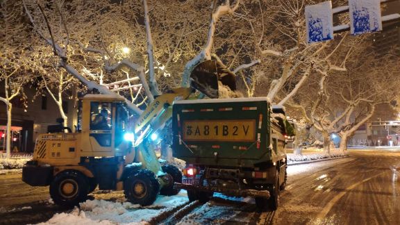 深夜大雪中，请记住这些靓丽的颜色