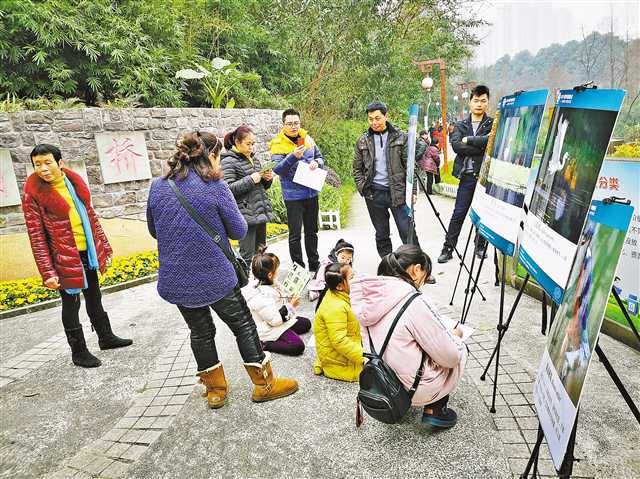 增强湿地保护意识从“玩游戏”开始