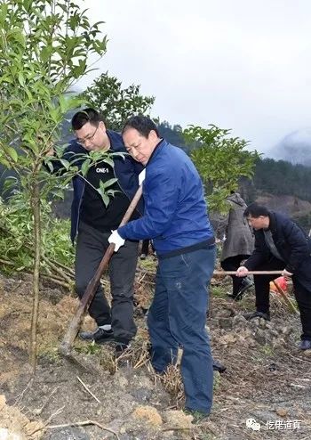 春寒料峭植树忙|道真开展春季义务植树活动