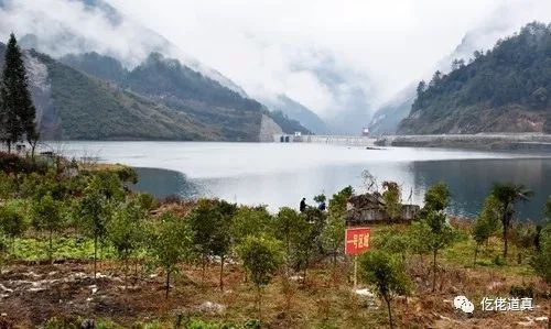 春寒料峭植树忙|道真开展春季义务植树活动