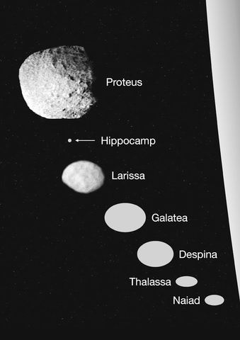 哈勃望远镜发现海王星新卫星 命名 “马头鱼尾怪