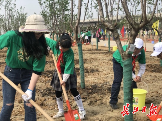 明年春，到长江新城江滩公园去看樱花