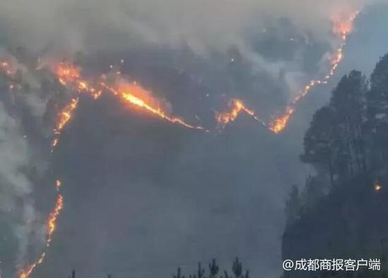 2起森林火灾造成重大损失 甘孜雅江25人被严肃追责