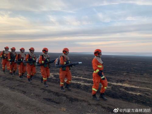 内蒙古呼伦贝尔市陈巴尔虎旗哈达图地区发生草