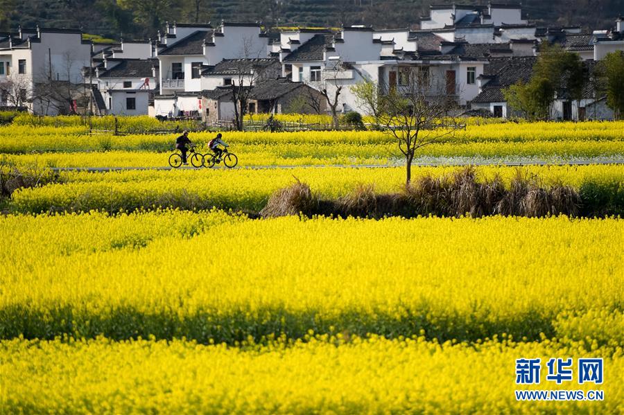 新疆和田地区皮山县发生3.1级地震 震源深度10千