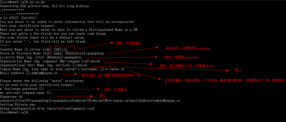 Nginx+https验证