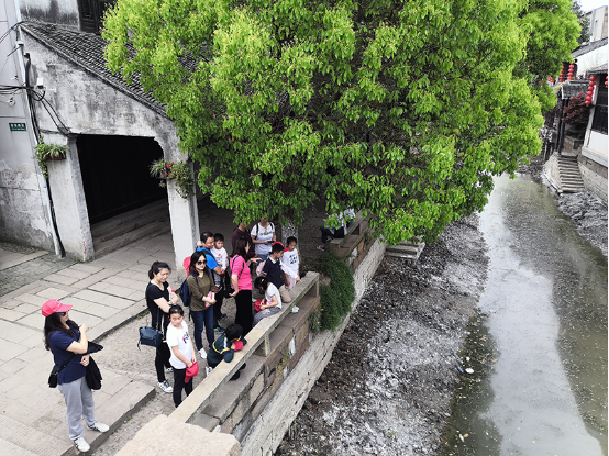 “心里 梦里 黎里”2019黎里春季研学微旅行正式